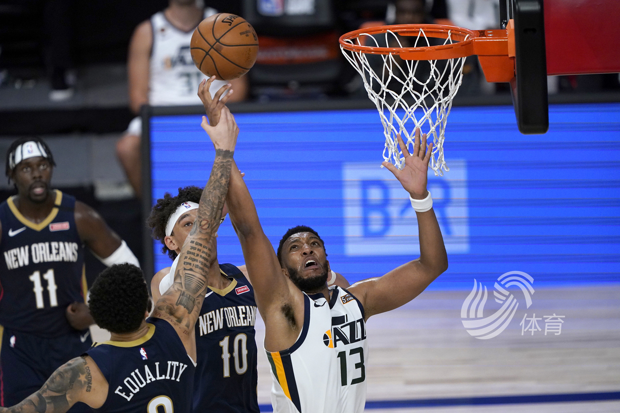 涯数据图表 涯数据图表